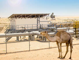 Passive Cooled Shelter